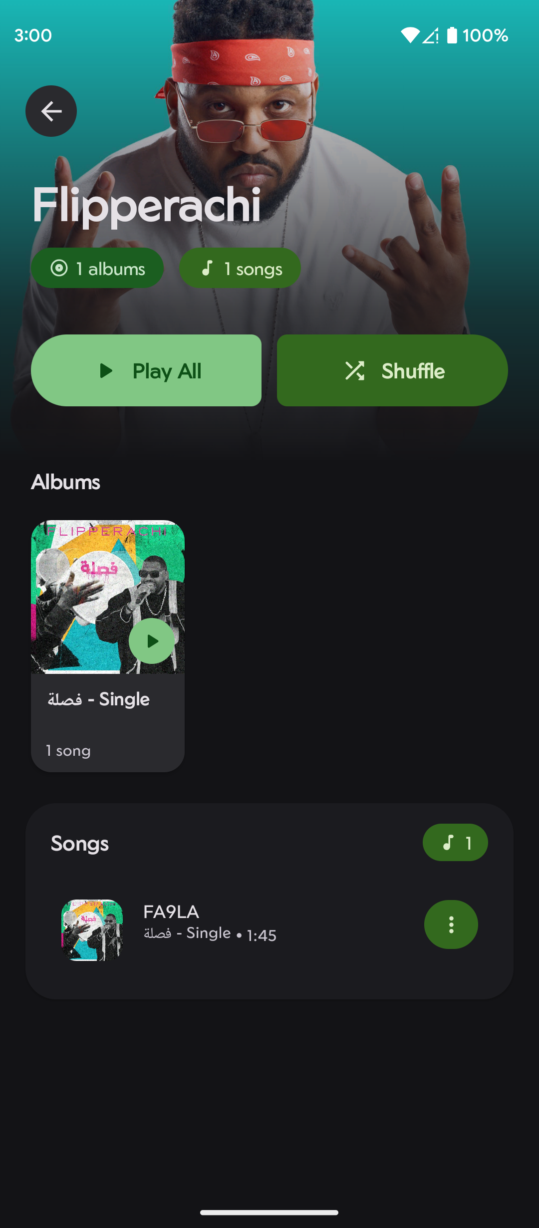 Artist Pages
